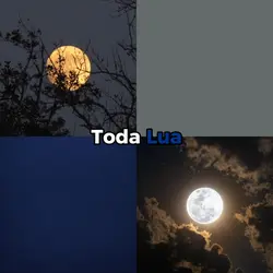 toda Lua precisa