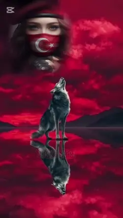 TÜRK ASKERİ 