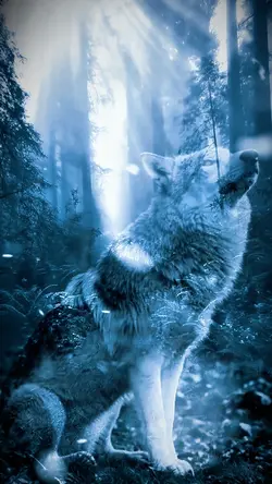 WOLF