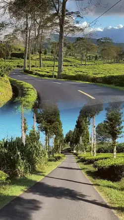 2 video 1 layout