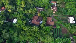 Drone cinematic 
