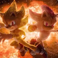 Sonic and Shadow!