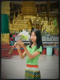 နှင်းဆီ