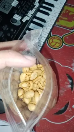HOOK JUALAN KACANGAS