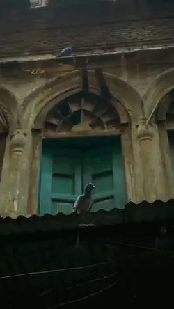 Gehra Hua Arijit 