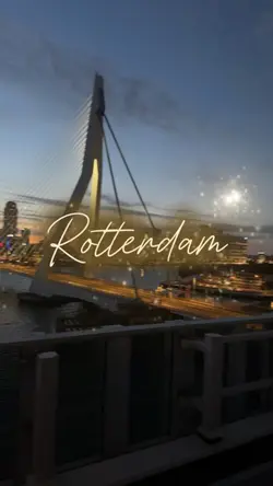 Rotterdam 🏙️✨