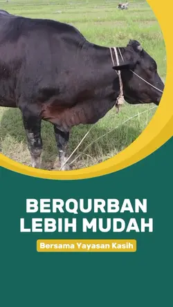Promosi Hewan Qurban