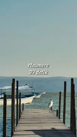 Maumere 30 detik