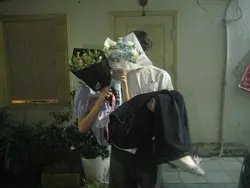 có biết không hoa