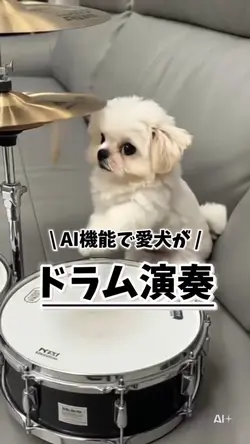 ペットがドラム演奏🥁