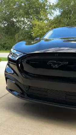 buy a car with me 