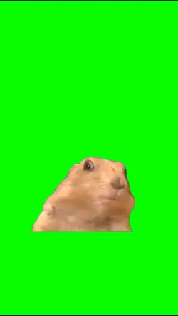 TikTok trend green 