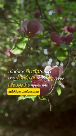 เมื่อถึงจุดอิ่มตัว