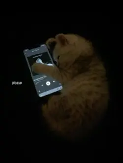 emchanted