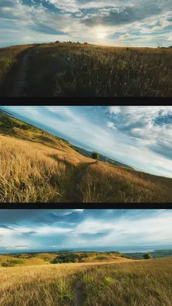 overlay 3 layer