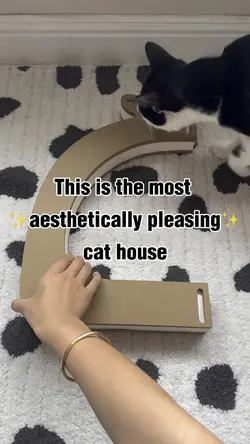 Cat House Recommendation