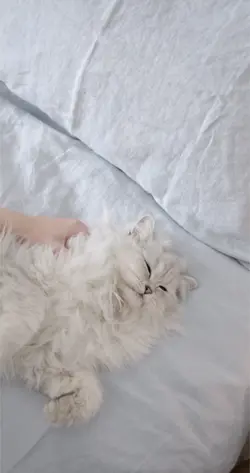Funny And cute