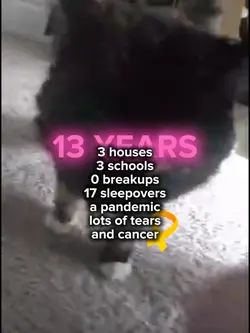 13 years