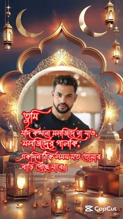 মসজিদের পালকি 