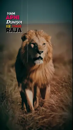 Raja Slowmo🎵🩷💕🦁