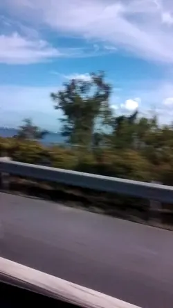 road trip 