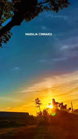 maraja cinnaku