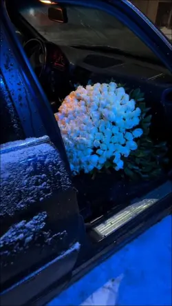 Slowmotion