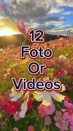 12 foto slides