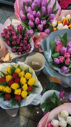 tulips make me happy
