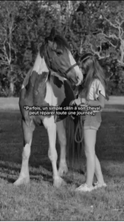 Citation 