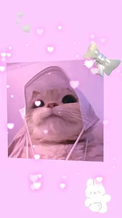 Cats Coquette 🎀