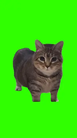 ee oo ee aa remix