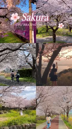 Sakura 2025