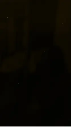 nhiều ảnh remix