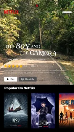 Netflix template 