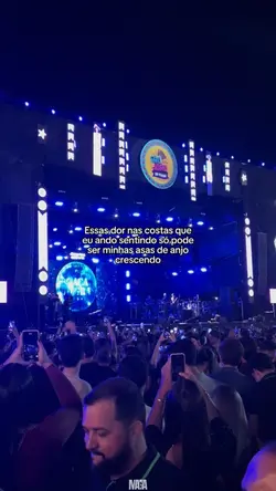 ASAS DE ANJO 