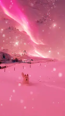 Magic winter