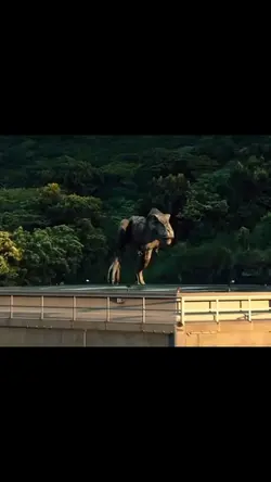 dinosaur sound