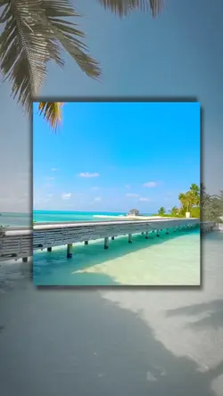 Video or photo 