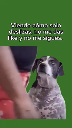 YO NO JUZGO