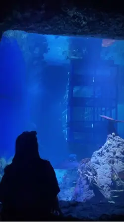 Aquarium Date