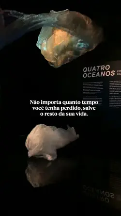 Não importa quanto..