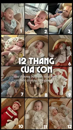 12 tháng đầu của con