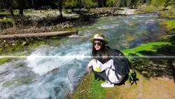 8 videos 9 photos