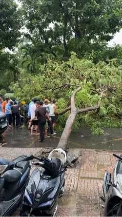Buang semua puisi