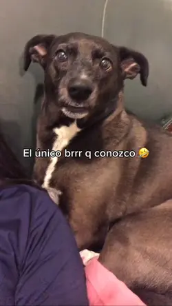 Dame un brrrrrr👹