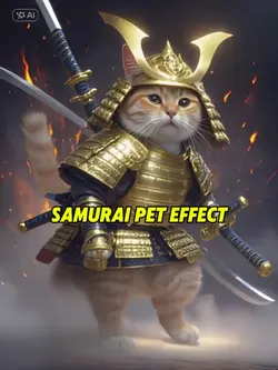 Samurai pet effect
