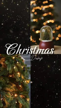 Christmas dump 🎄