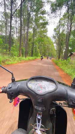 ឧទ្យានជាិគិរីរម្យ🤍🍃