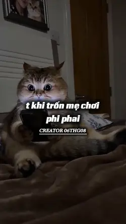 t khi trốn mẹ chơi 